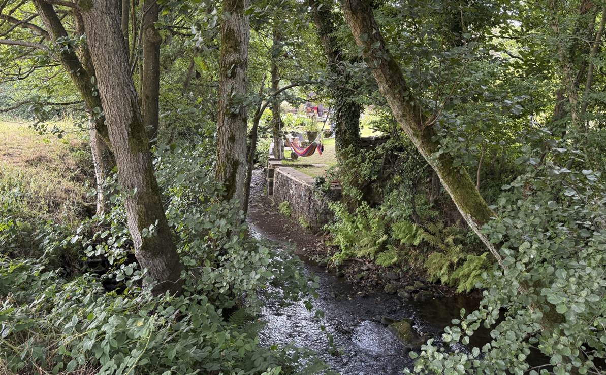 A computer screen shot of a stream

AI-generated content may be incorrect.